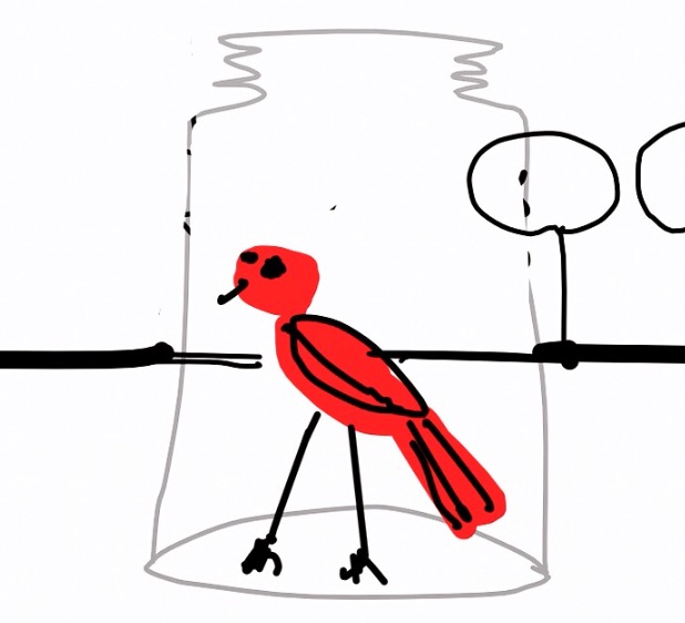 Red Bird in a Jar