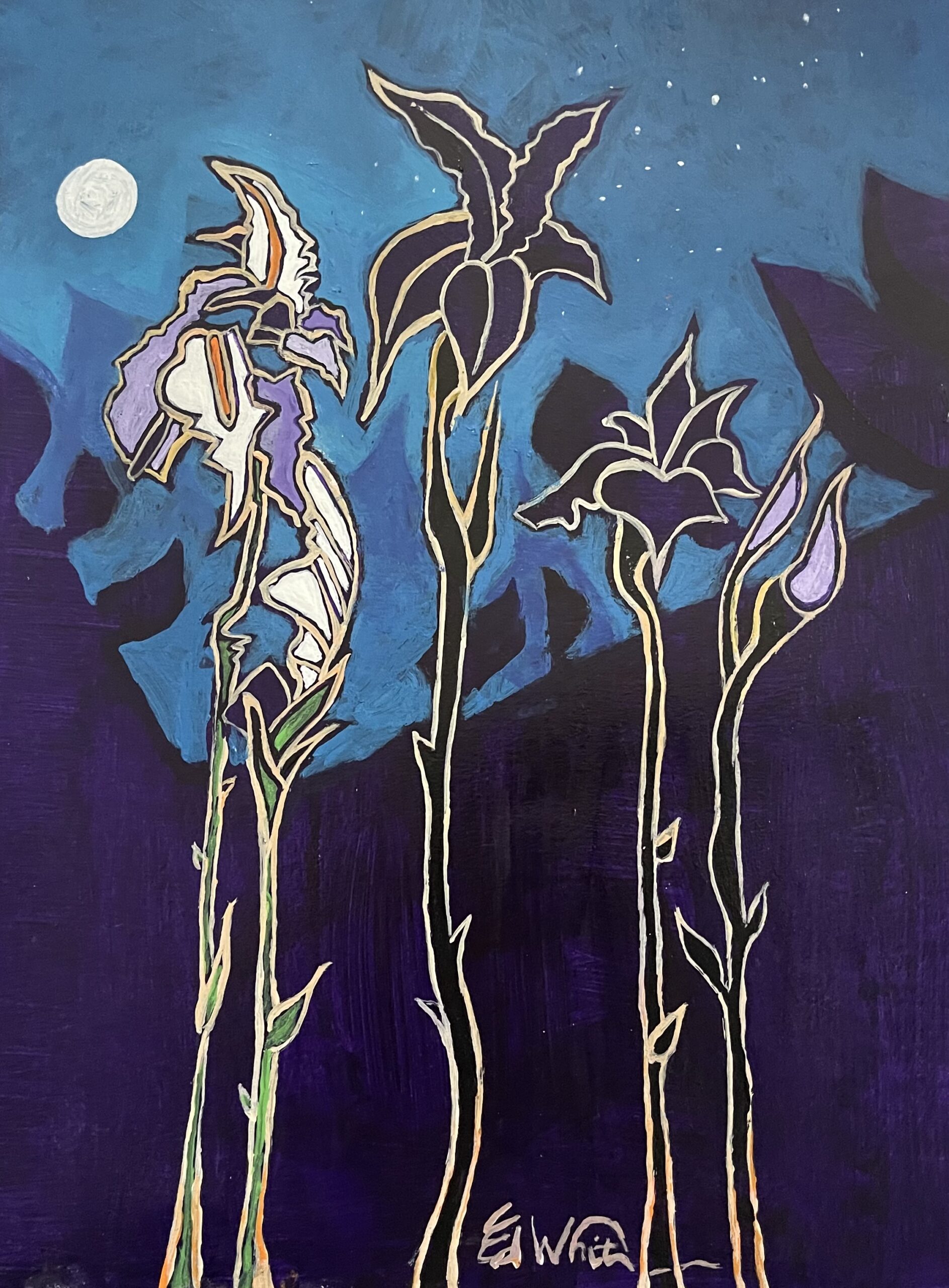 ‘Nite Owls’
