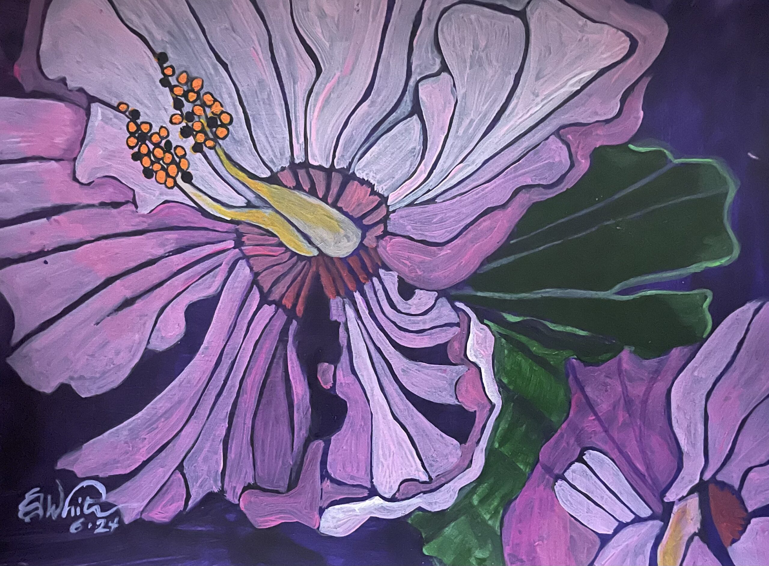 ‘Violet Ladies’