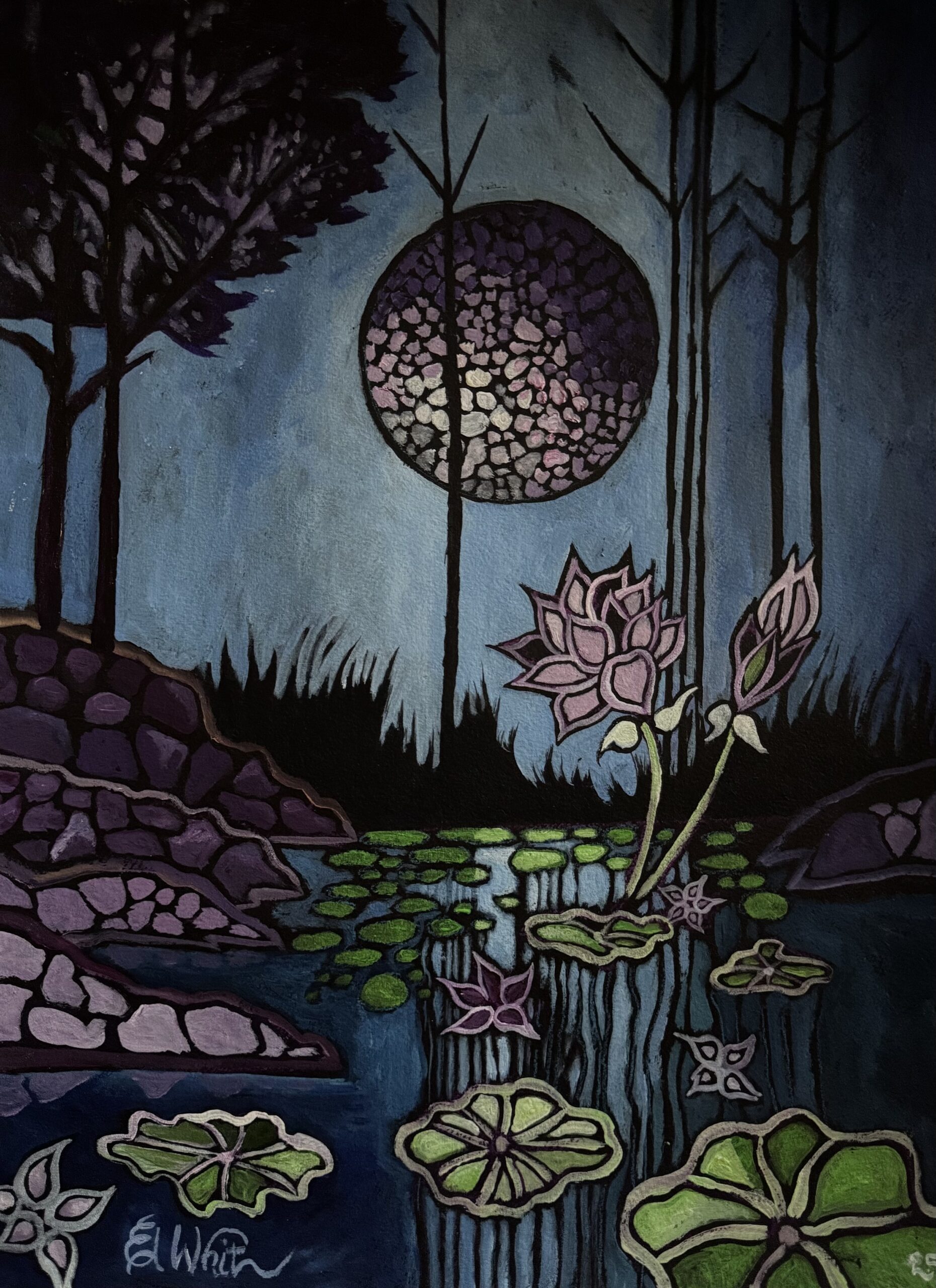 ‘Mystic Night’